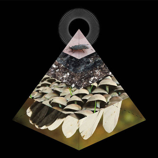 Apophenia Music CD