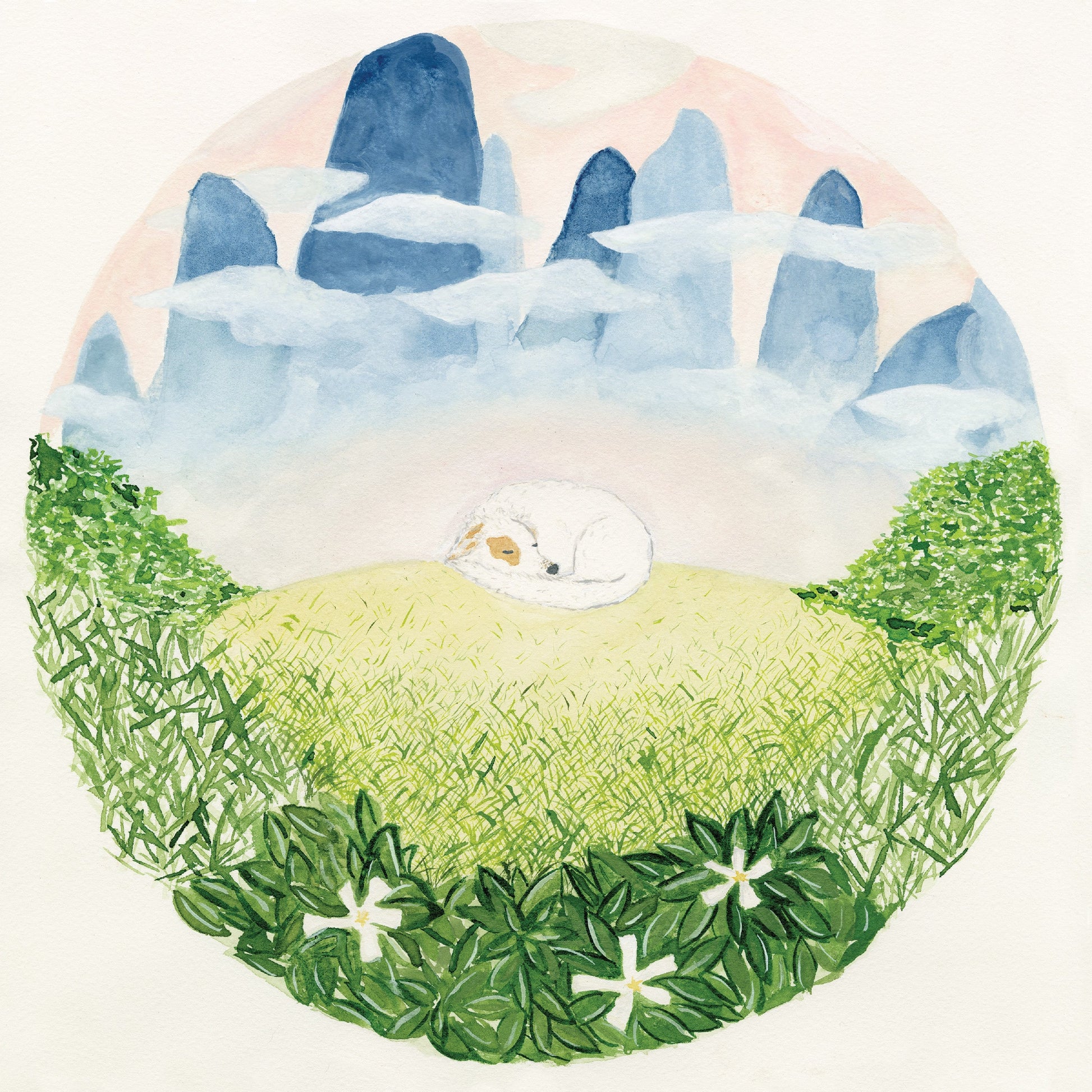 Songs For Sleeping Dogs Vinyl Record