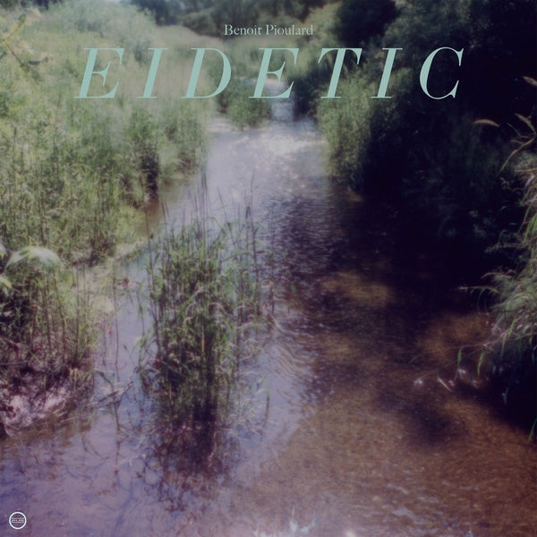 BENOIT PIOULARD - Eidetic Vinyl Record