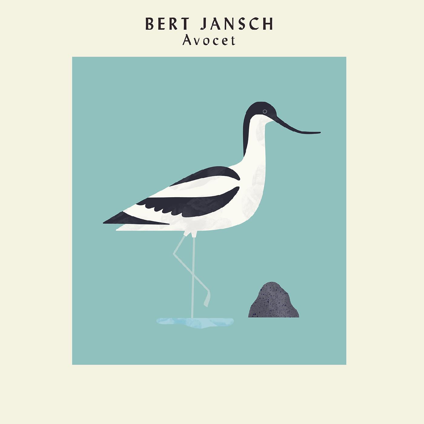 Avocet (Ltd Art Print Edition) Vinyl Record