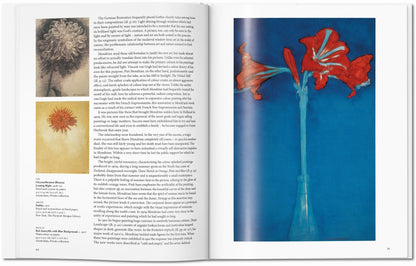 Mondrian (English) Book