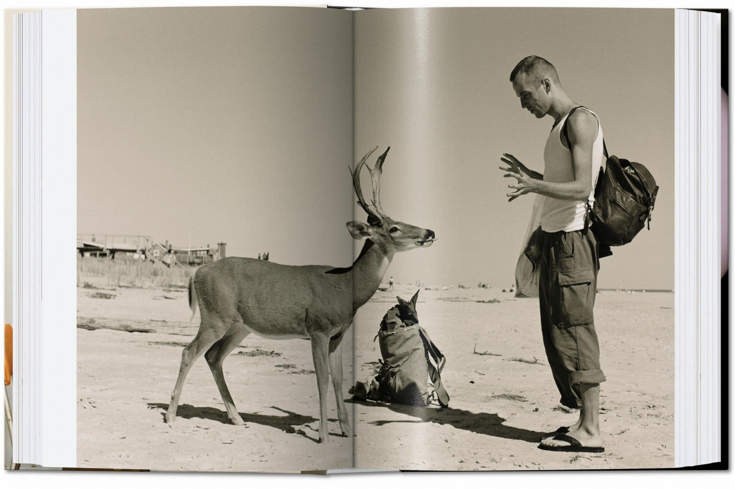 Wolfgang Tillmans. four books. 45th Ed. (English) Book