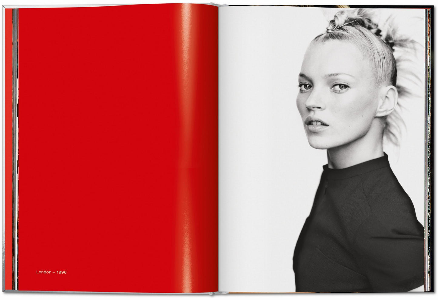 Kate Moss by Mario Testino (English) Book