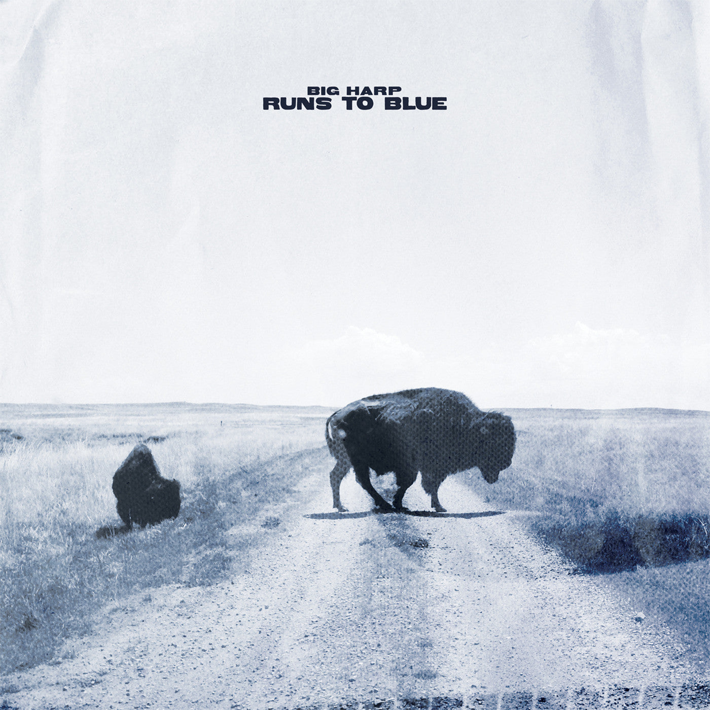 Runs To Blue [CD] Music CD