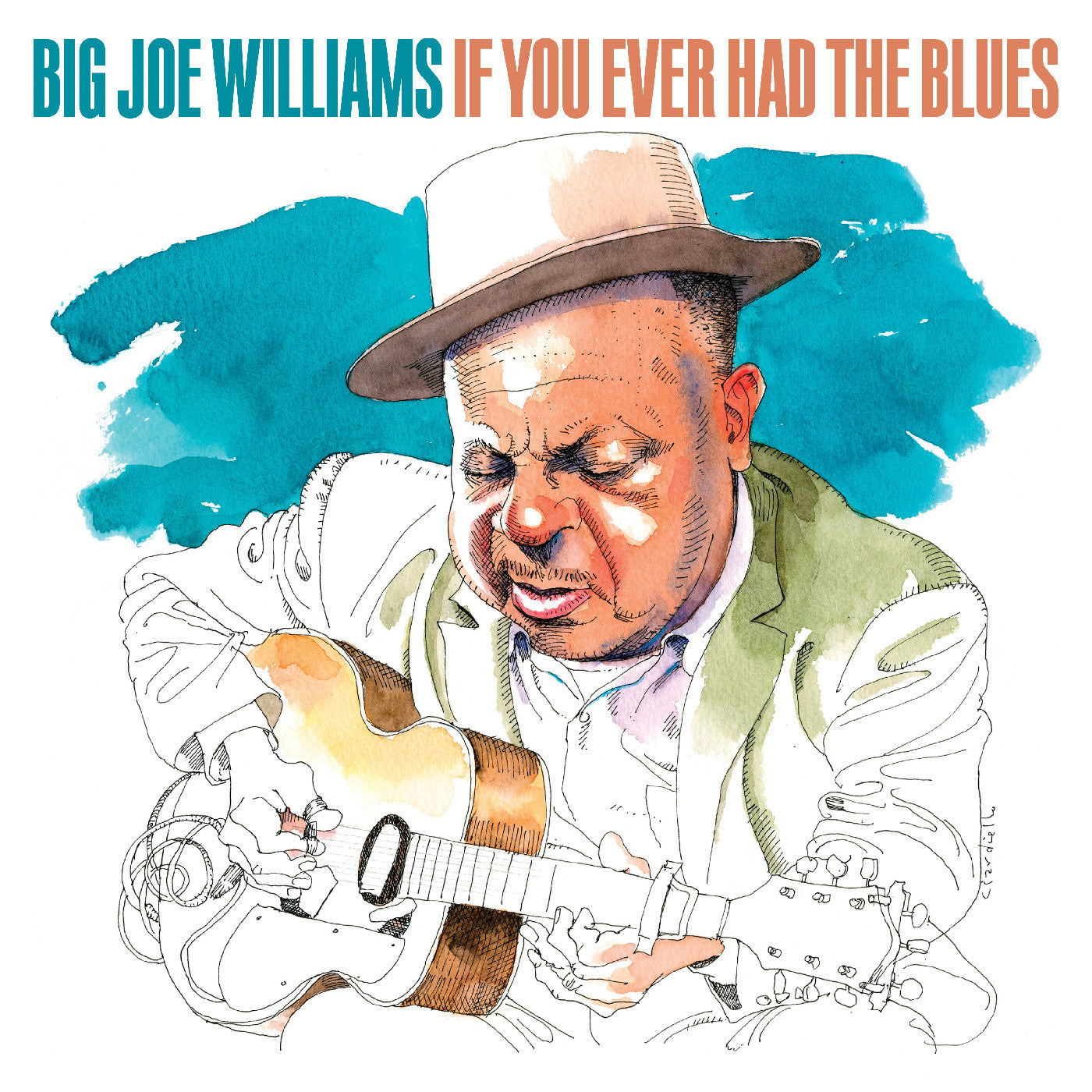 If You Ever Had The Blues Music CD