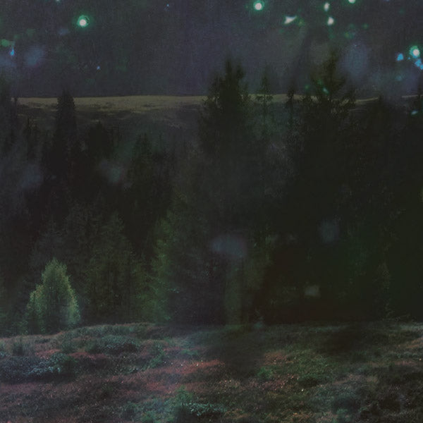 Spielmanda  Music CD