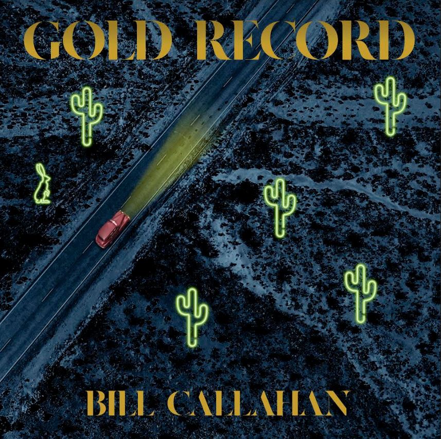 Gold Record Vinyl Record
