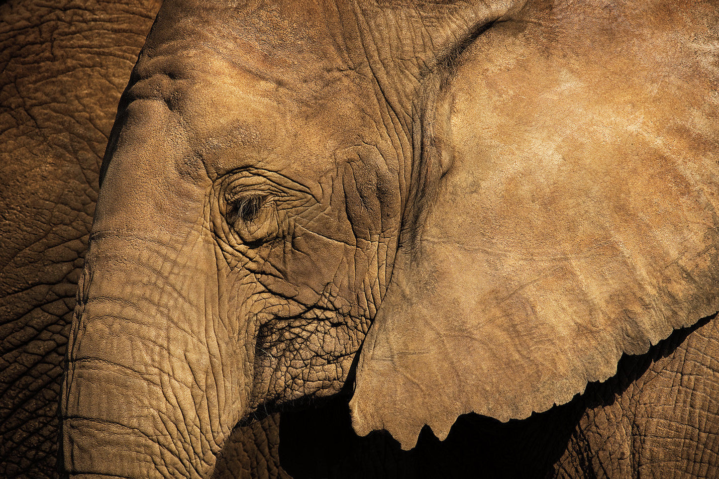 Capture Minnesota II: Minnesota Through the Eyes of Minnesota Photographers Book