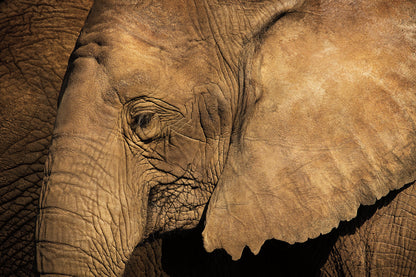 Capture Minnesota II: Minnesota Through the Eyes of Minnesota Photographers Book