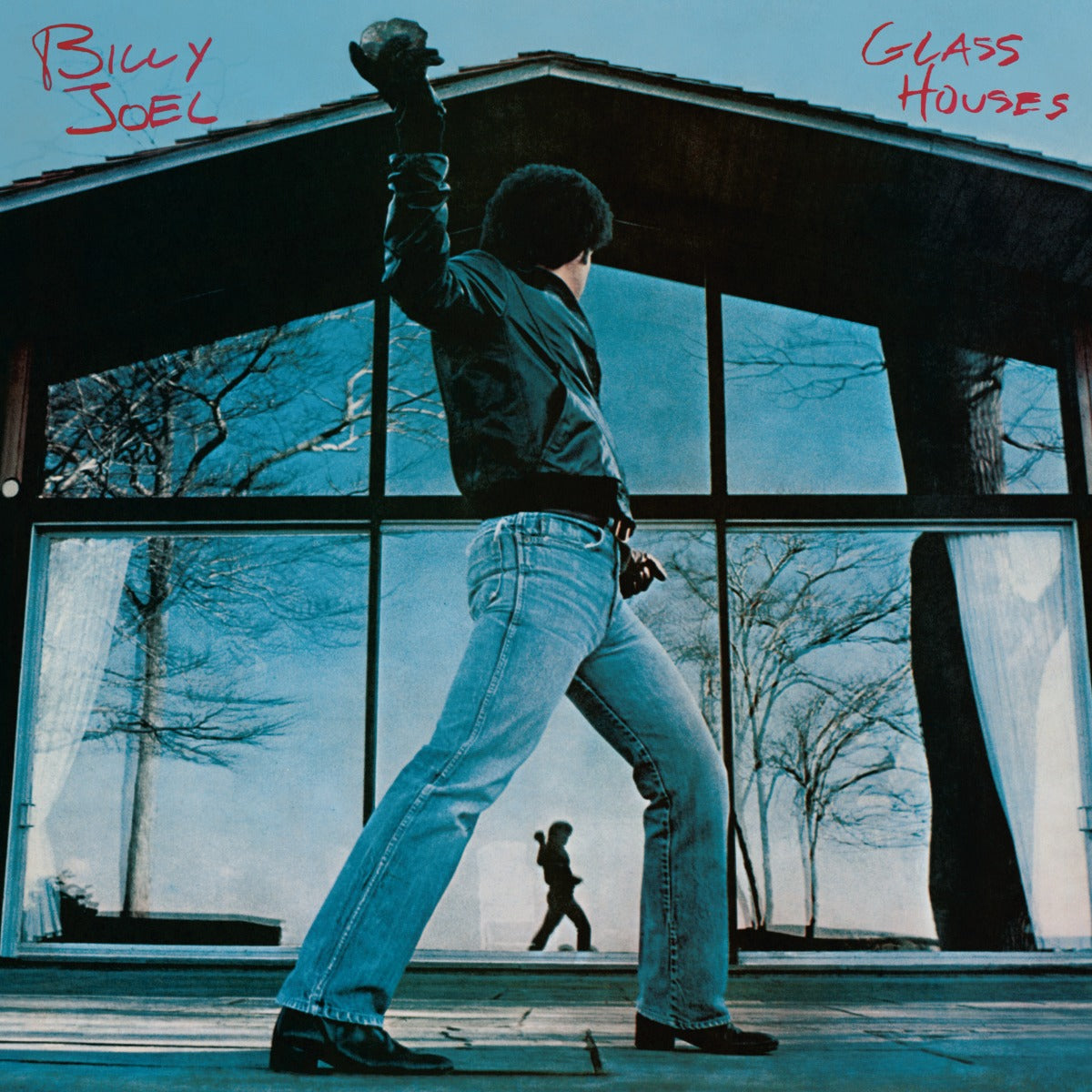 Glass Houses Vinyl Record