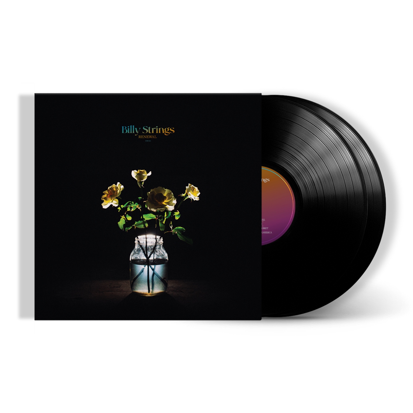 Renewal - Black Vinyl Record 2LP