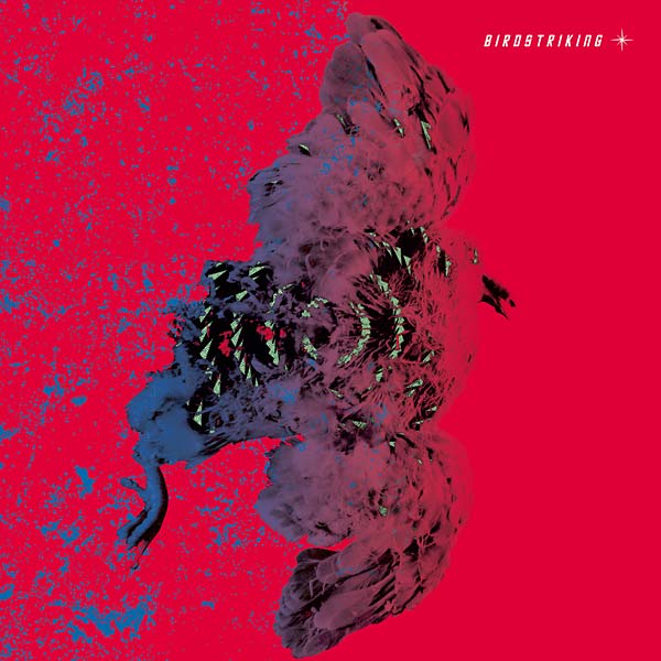 Birdstriking Vinyl Record