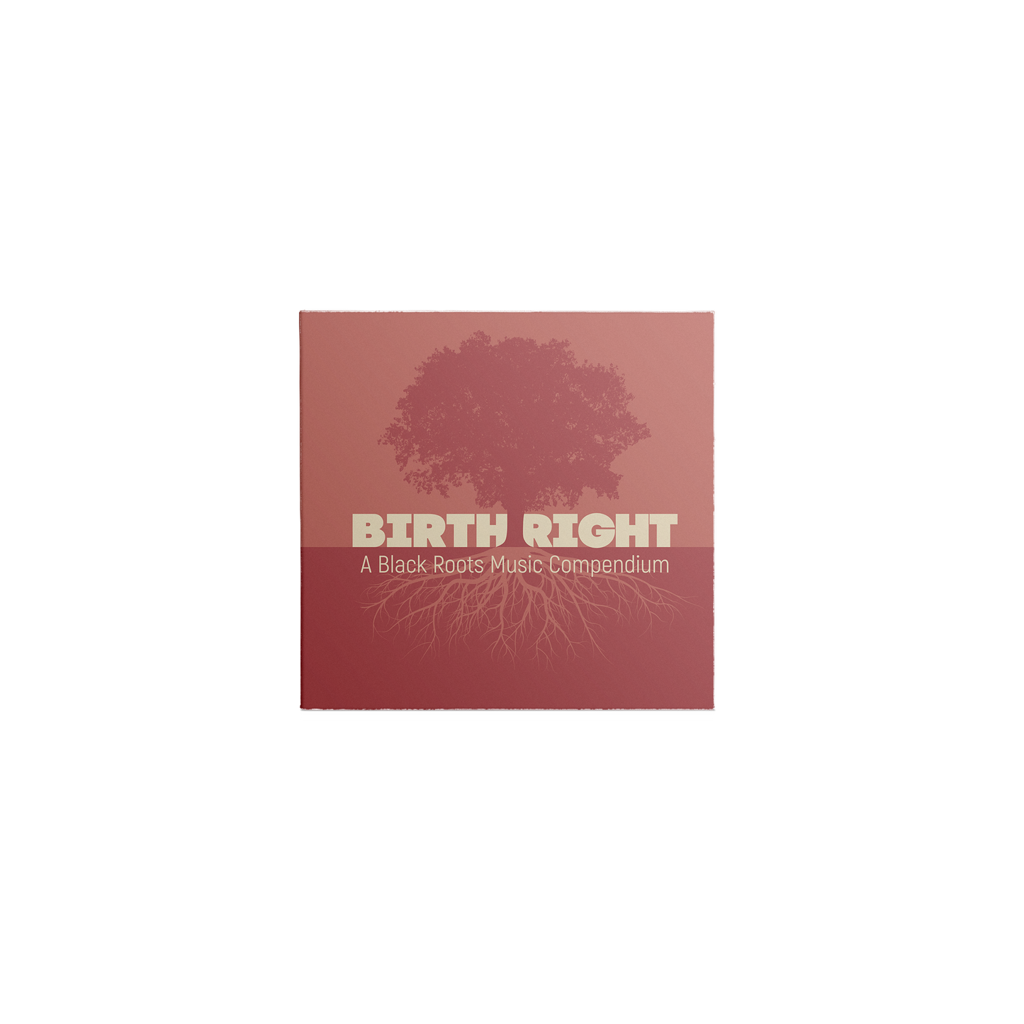 Birthright: A Black Roots Music Compendium (2-CD) Music CD