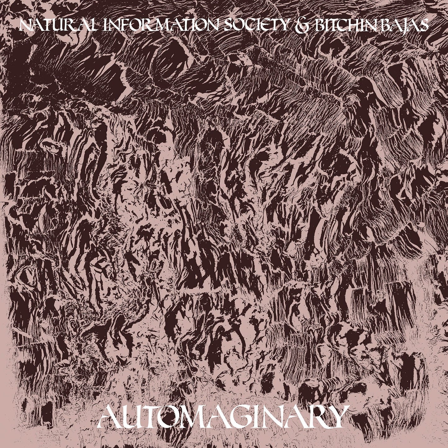 Automaginary Vinyl Record