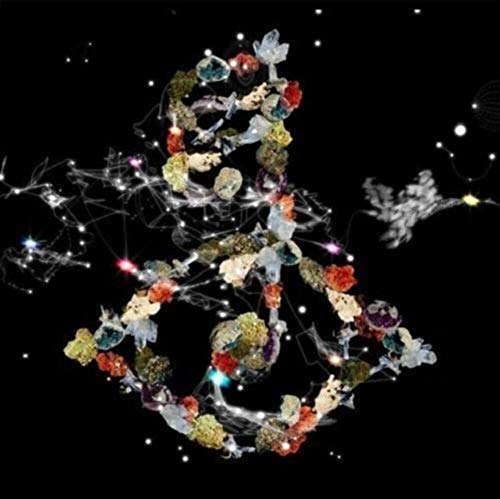Biophilia [Vinyl] Vinyl Record