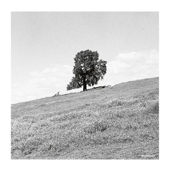 BLANK GLOSS - Cornered Vinyl Record