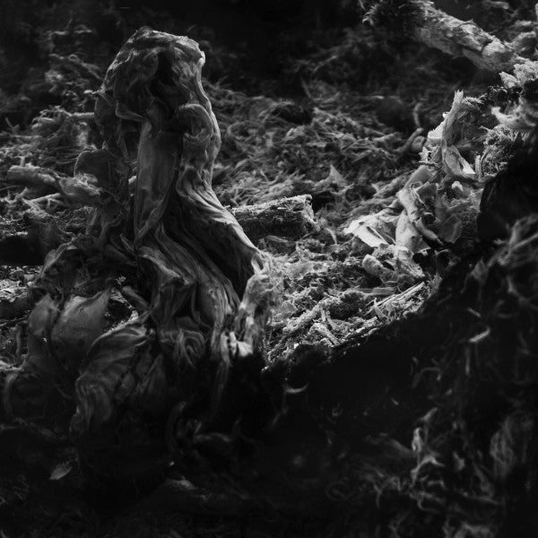 Unpredictability Of Probability Vinyl Record