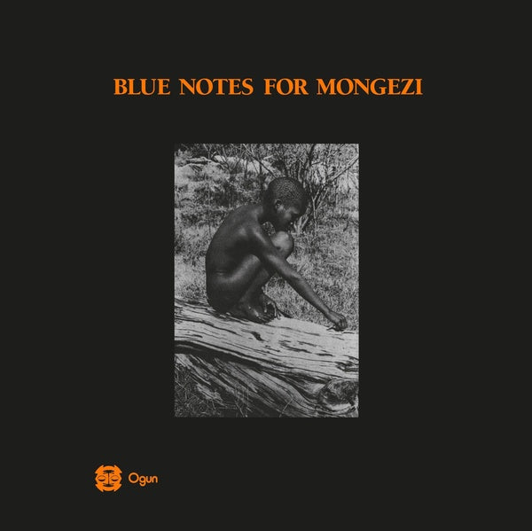 BLUE NOTES - Blue Notes For Mongezi Vinyl Record