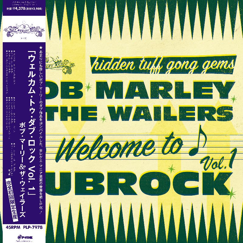 Welcome To Dubrock [Vinyl] Vinyl Record