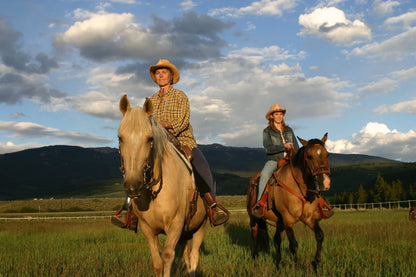 Capture My Colorado: Aspen Book