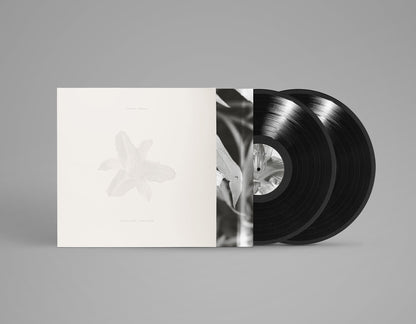 Body of Light / I Am A Cloud Vinyl Record