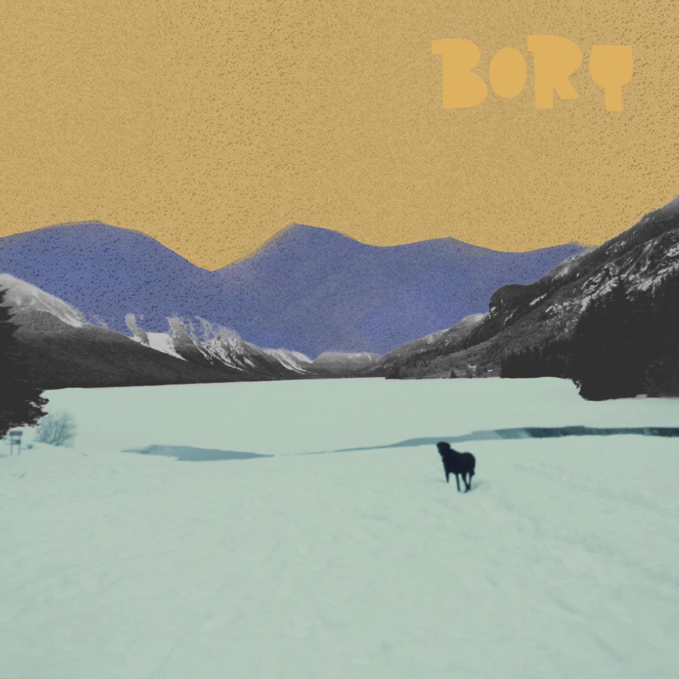 Bory - Who's A Good Boy Vinyl Record