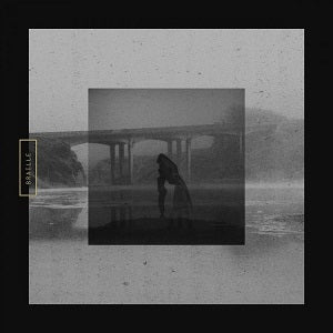 Braille - Mute Swan Vinyl Record