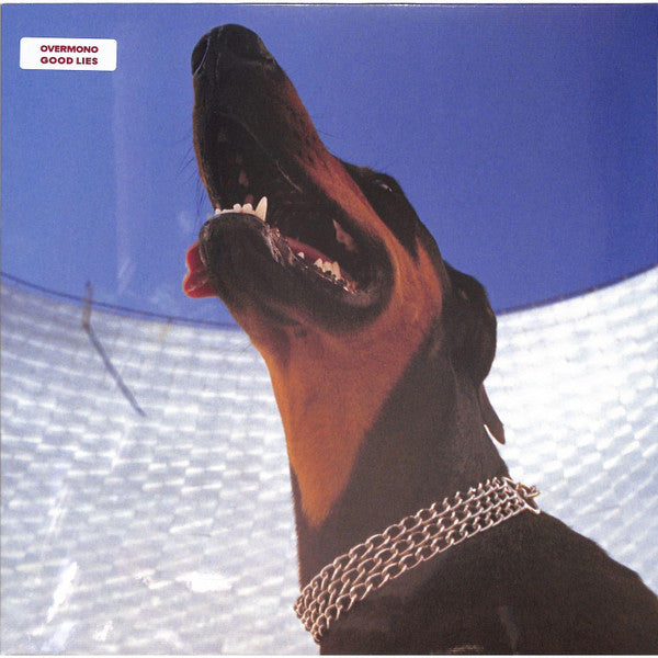 Good Lies Vinyl Record
