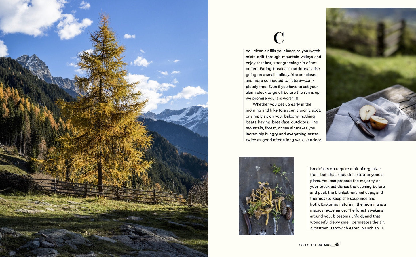 Stay for Breakfast Book