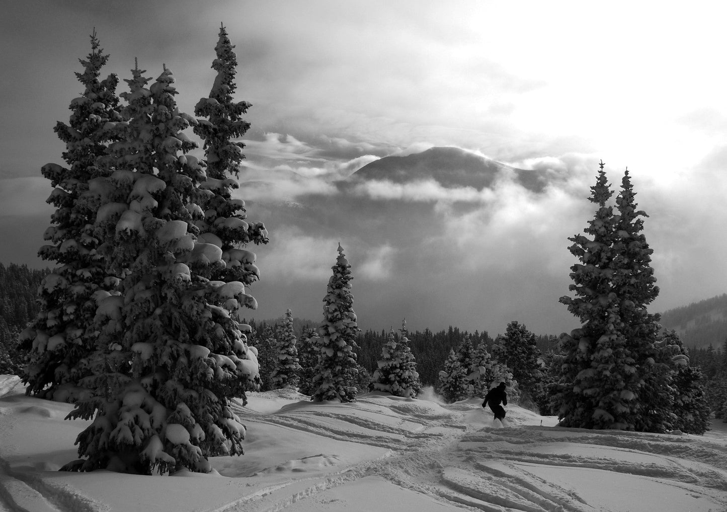 Capture My Colorado: Vail Book