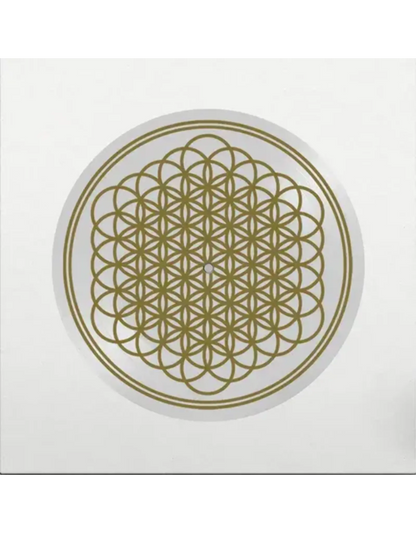 Sempiternal (Indie Exclusive, Limited Edition, Picture Disc Vinyl, Anniversary Edition) Vinyl Record