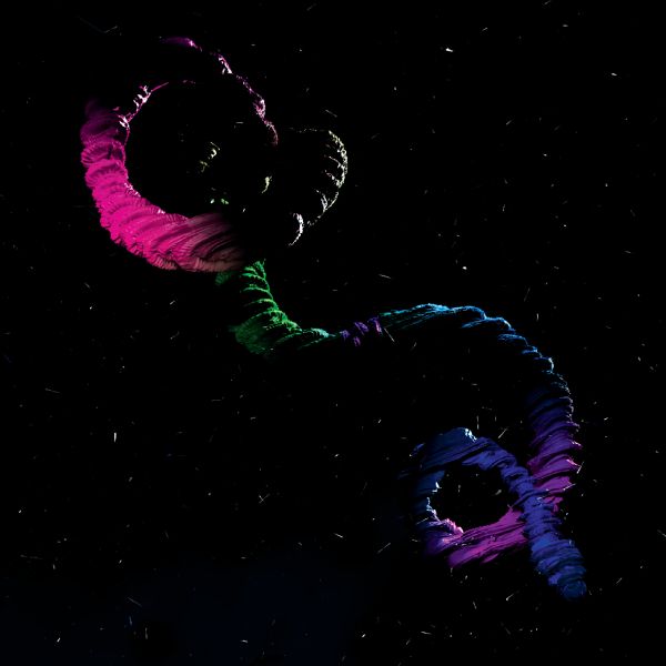 Brogan Bentley - The Snake Vinyl Record