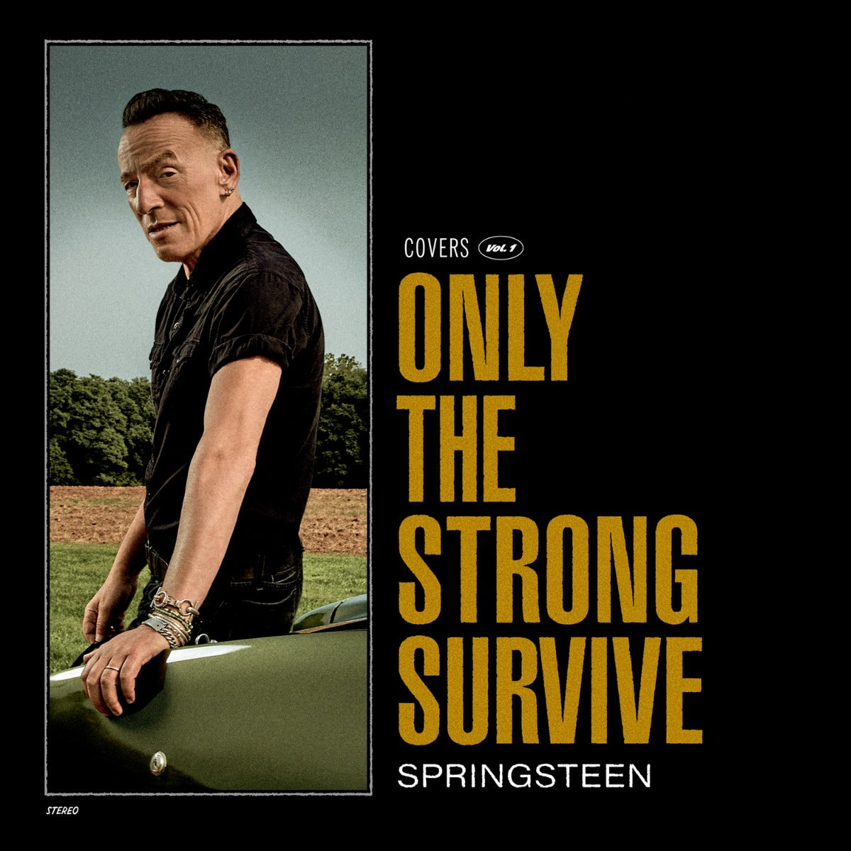Only The Strong Survive (Nightshade Green Vinyl) [2Lp] Vinyl Record