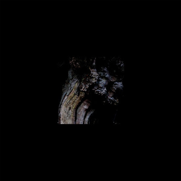 BRUNNEN - The Garden Of Perpetual Dreams Vinyl Record