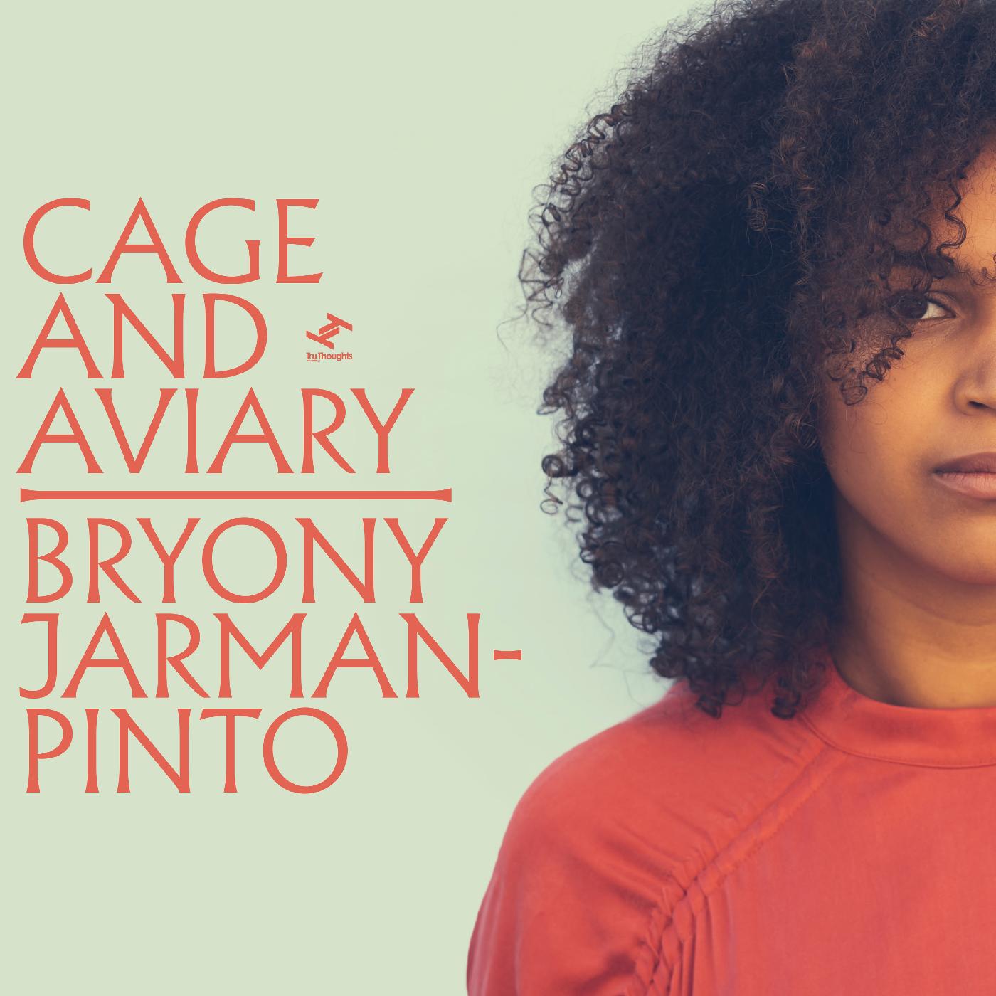 Cage and Aviary Music CD