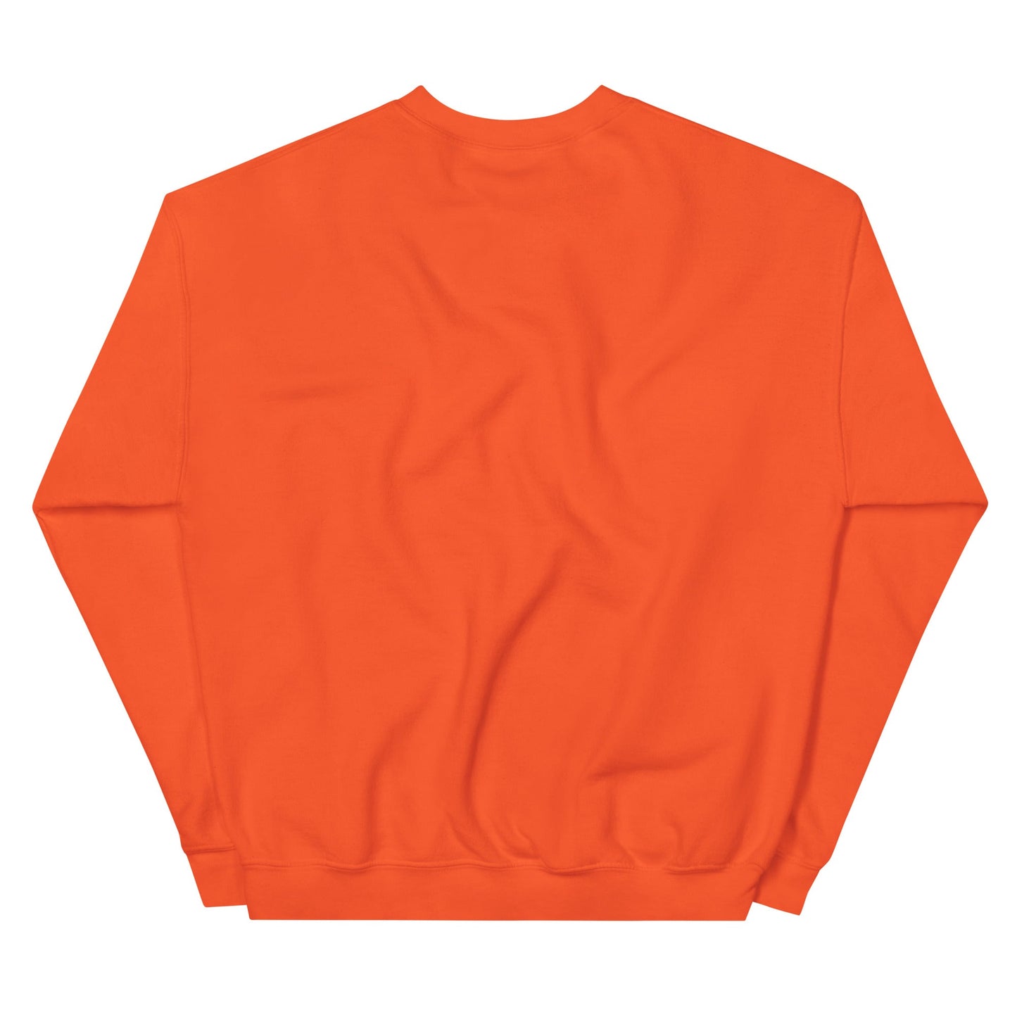 Backstreet Boys Coachella Sunset Officially Licensed Crewneck Sweatshirt Orange