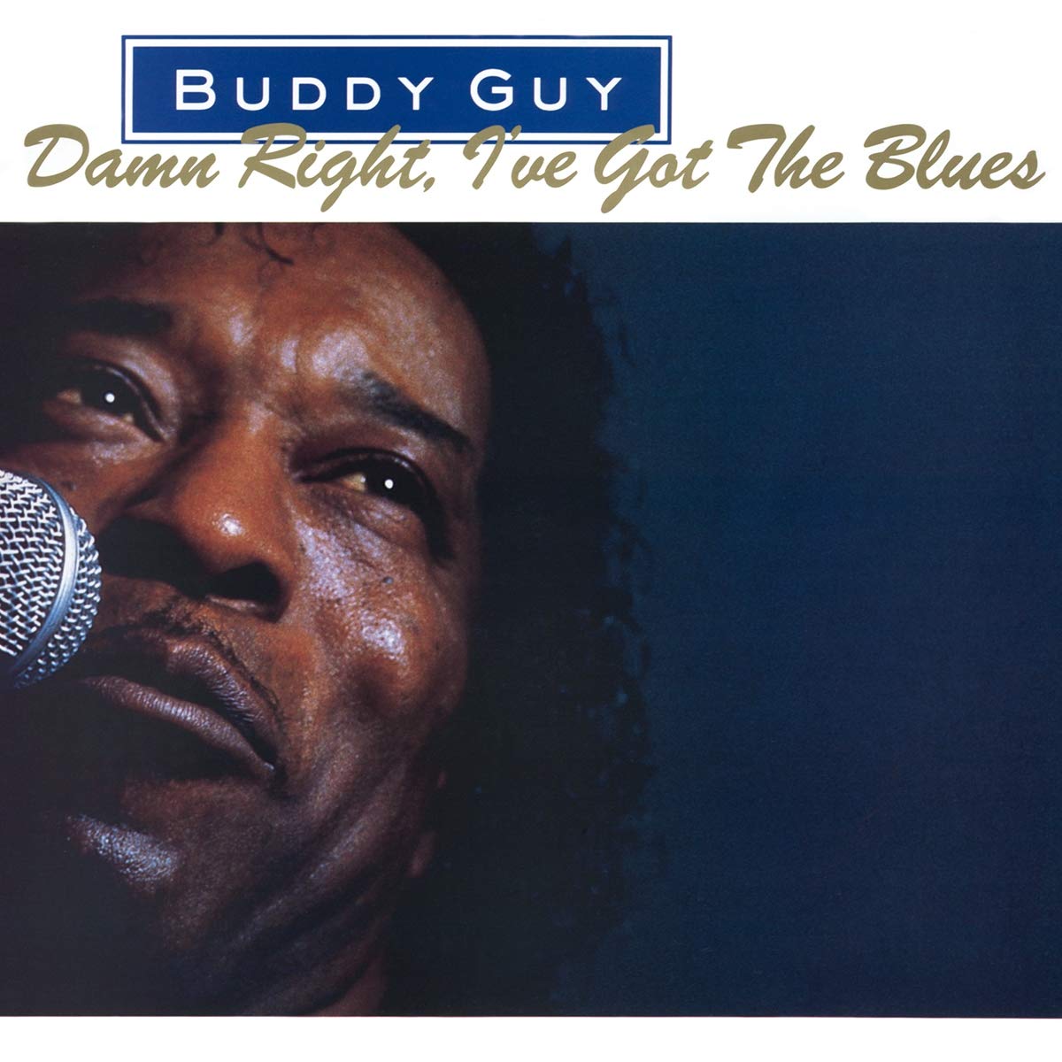 Damn Right, I've Got The Blues (180 Gram Vinyl) [Import] [Vinyl] Vinyl Record