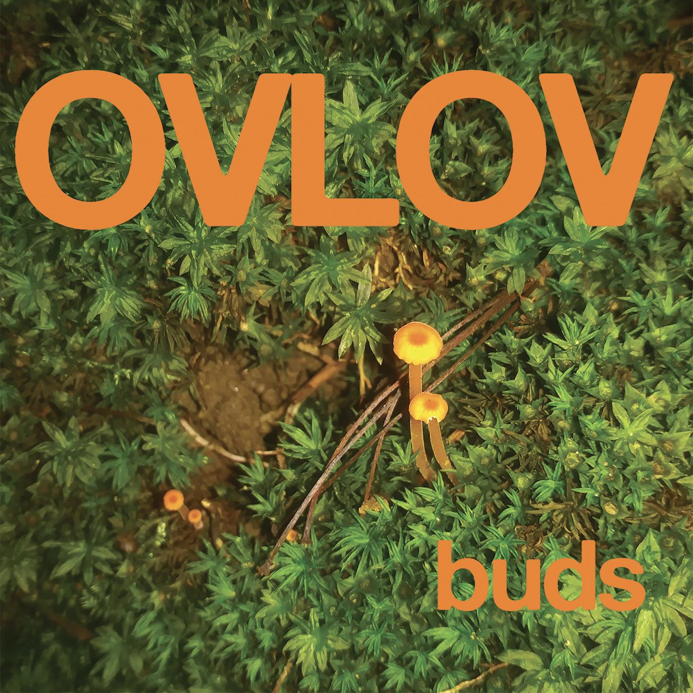 Ovlov - Buds (IEX, Orange) Vinyl Record