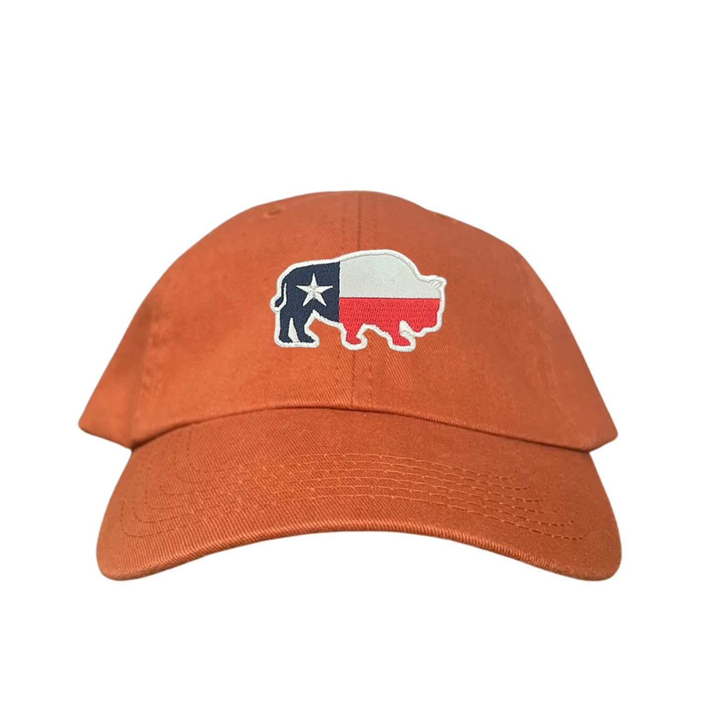 Last Stand / Bison Texas Flag / 050 / MM Hat
