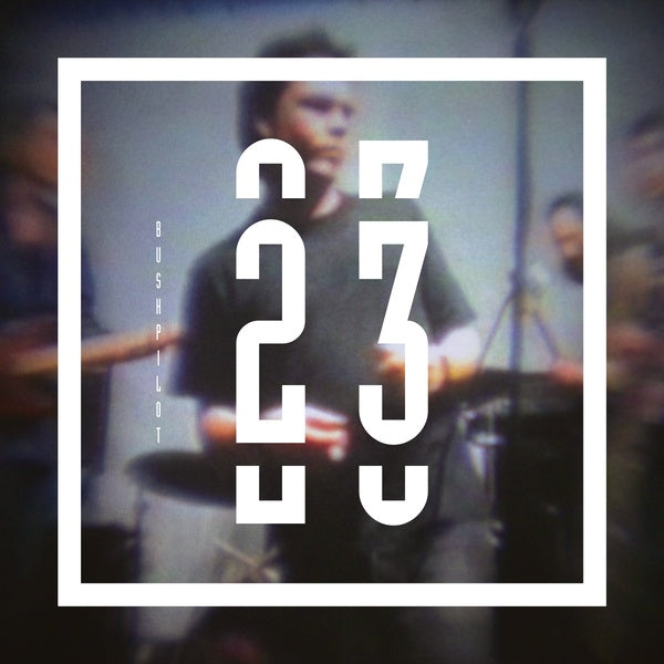 BUSHPILOT - 23 Vinyl Record