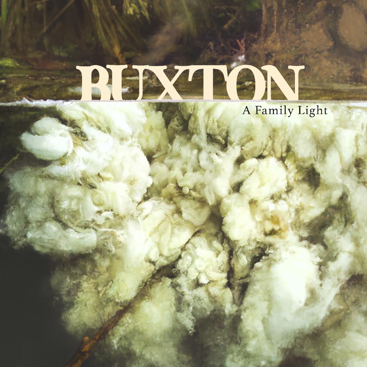 Buxton - A Family Light (CLEAR FROSTED GLASS VINYL) Vinyl Record