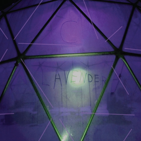 C. LAVENDER - Myth Of Equilibrium Vinyl Record