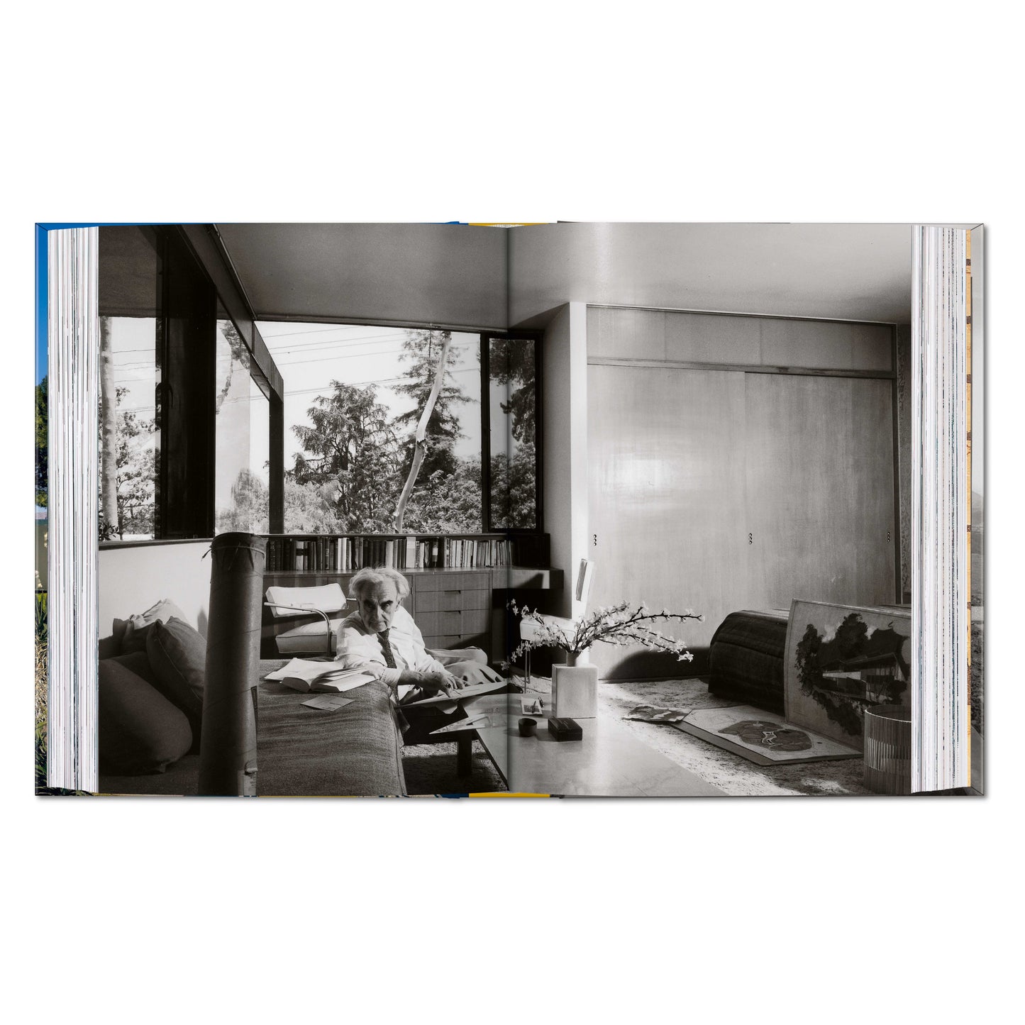 Neutra. 45th Ed. (English) Book