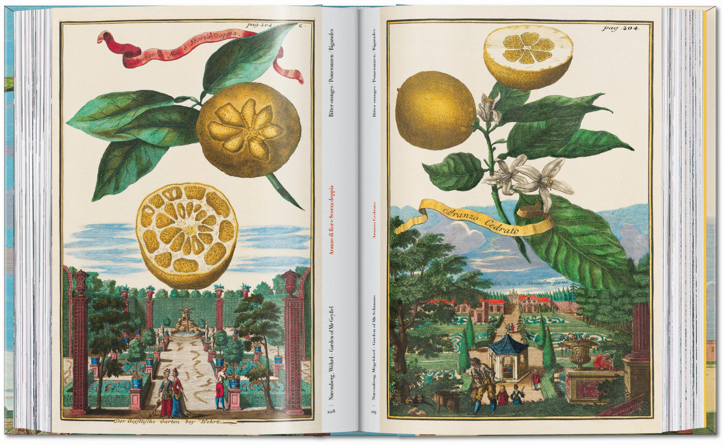 J. C. Volkamer. The Book of Citrus Fruits. 45th Ed. (German, French, English) Book
