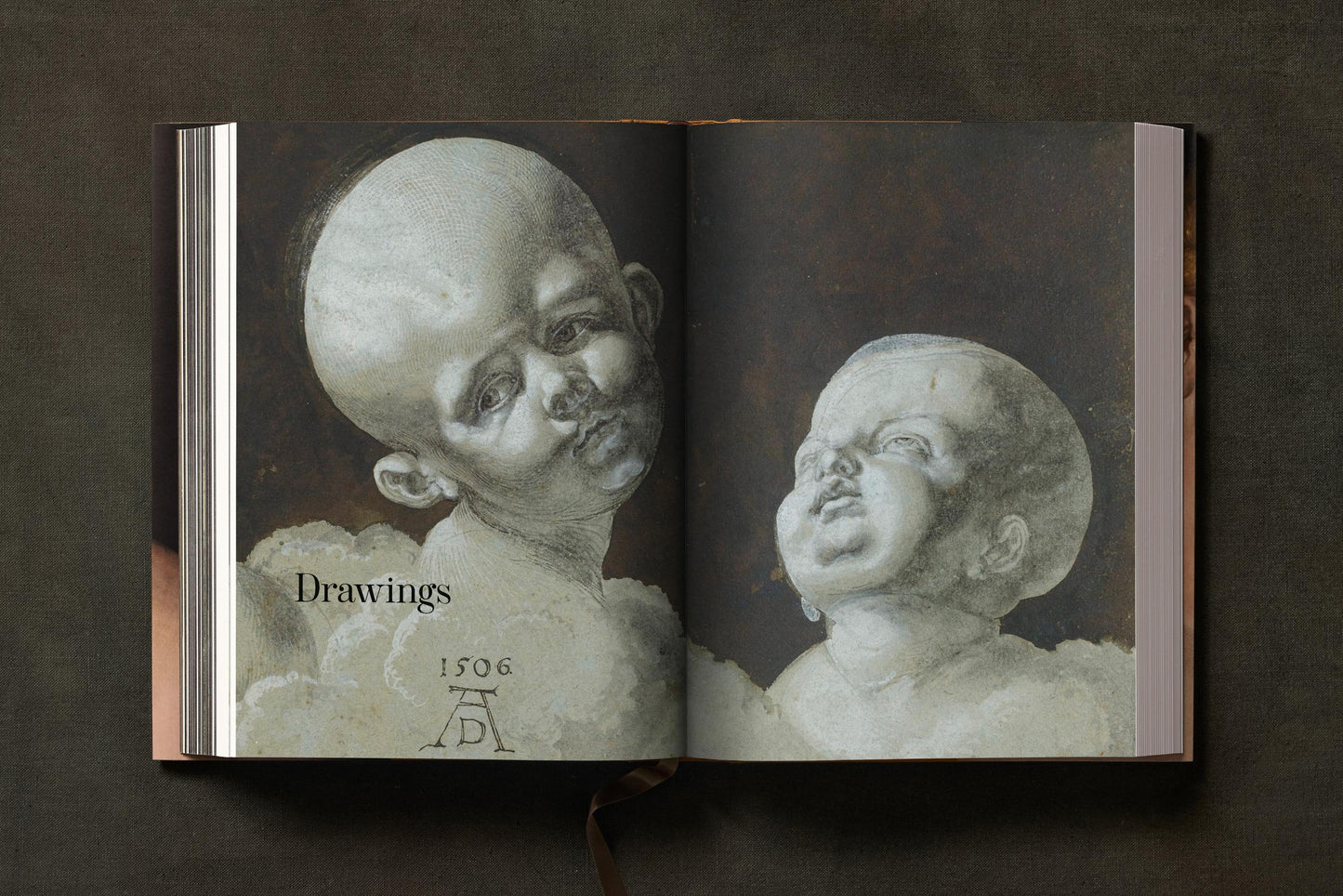 Albrecht Dürer. The Complete Paintings. Selected Drawings and Prints (English) Book