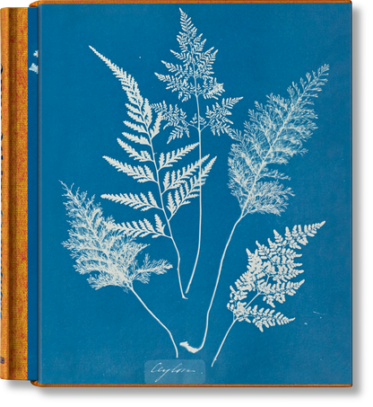 Anna Atkins. Cyanotypes (German, French, English) (FFE) Book