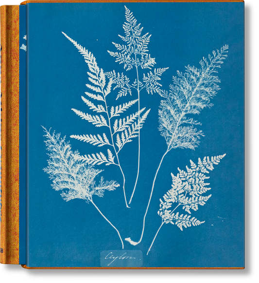 Anna Atkins. Cyanotypes (German, French, English) (FFE) Book