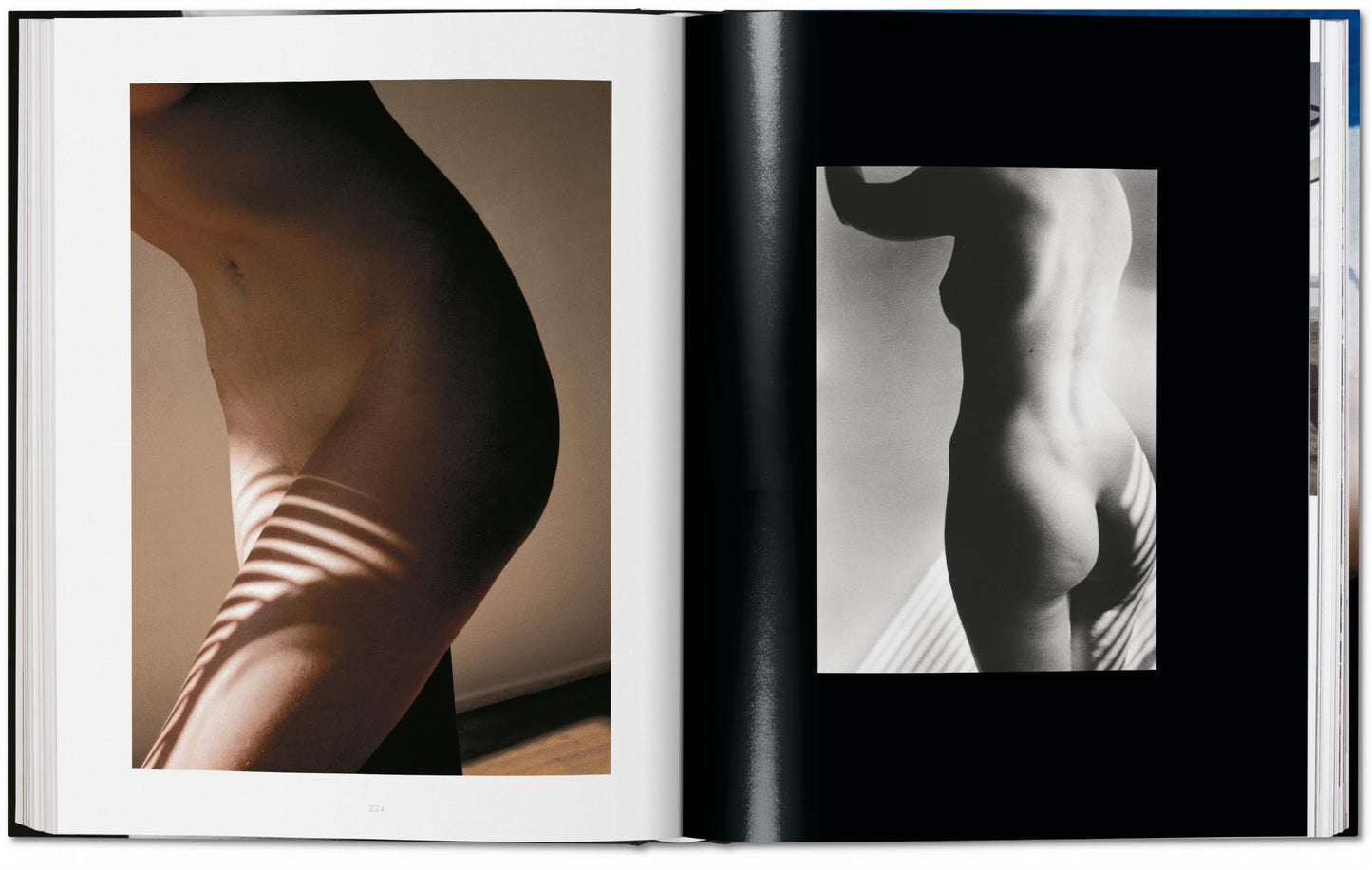 Ralph Gibson. Nude (German, French, English) Book