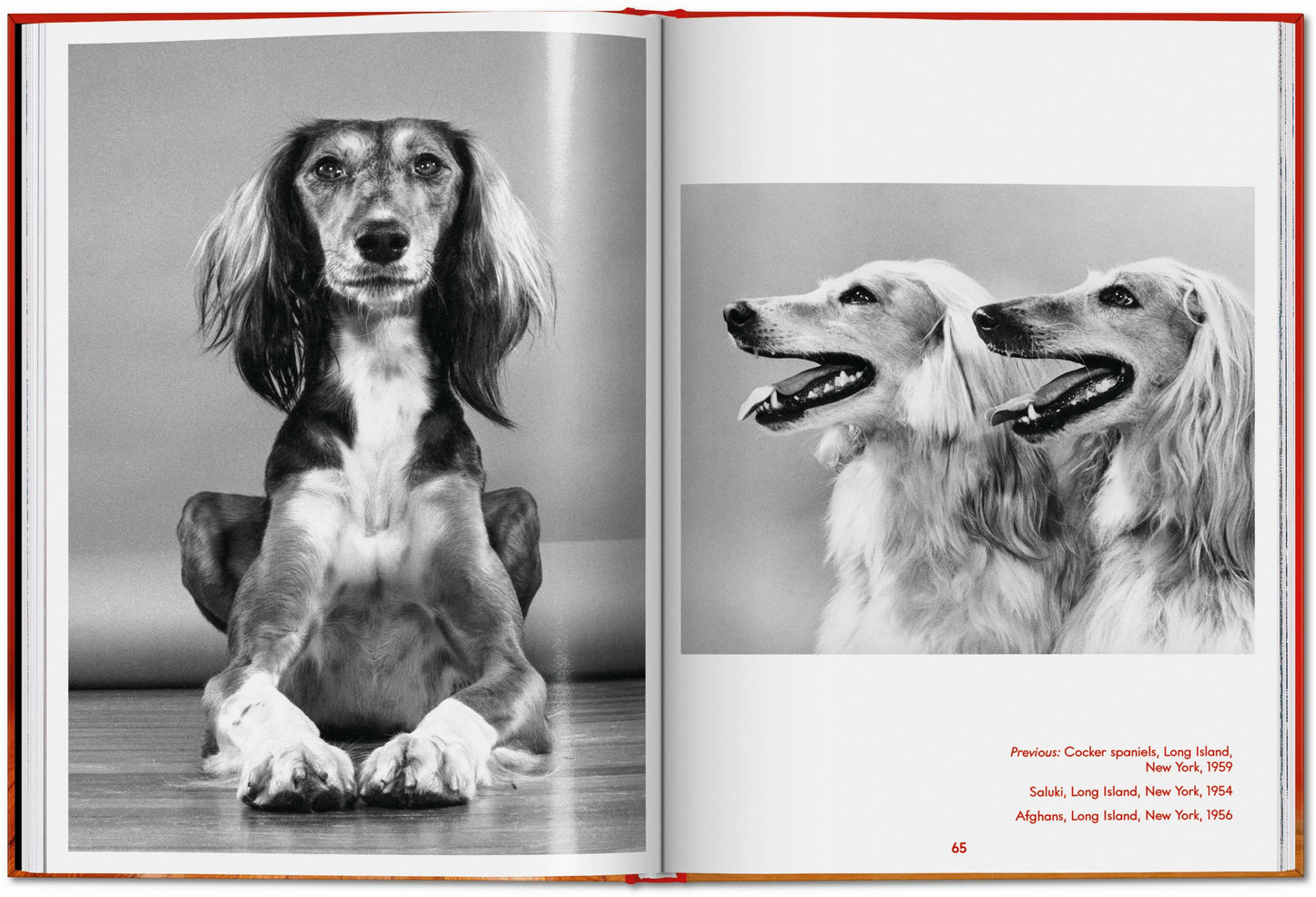 Walter Chandoha. Dogs. Photographs 1941–1991 (English) Book
