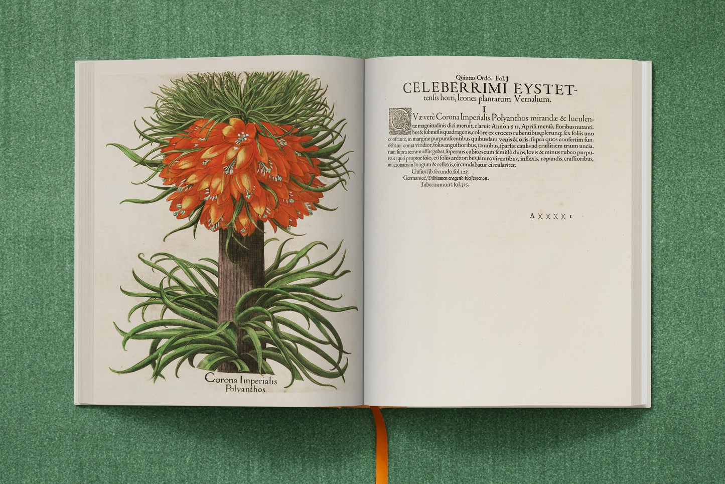 Basilius Besler. The Garden at Eichstätt (German, French, English) (FFE) Book